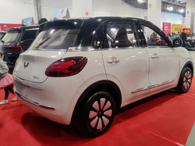 Wuling Bingo