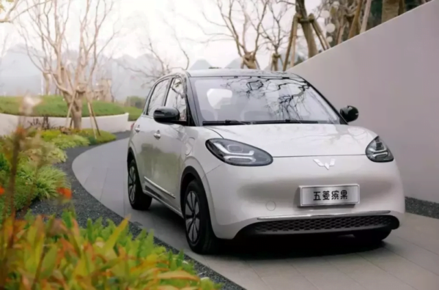 Wuling Bingo